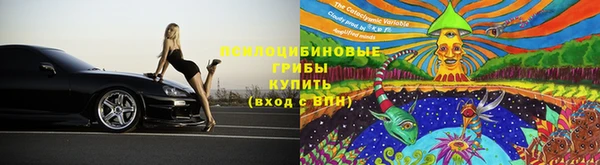 соль ск Богородск
