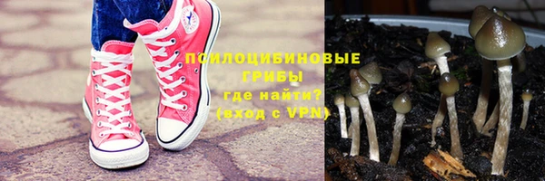 соль ск Богородск
