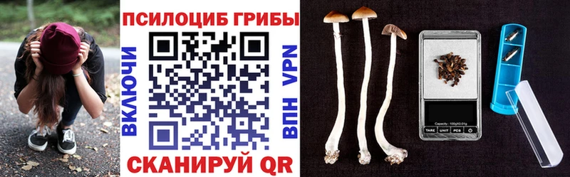 Купить где  Суровикино  Галлюциногенные грибы MAGIC MUSHROOMS 